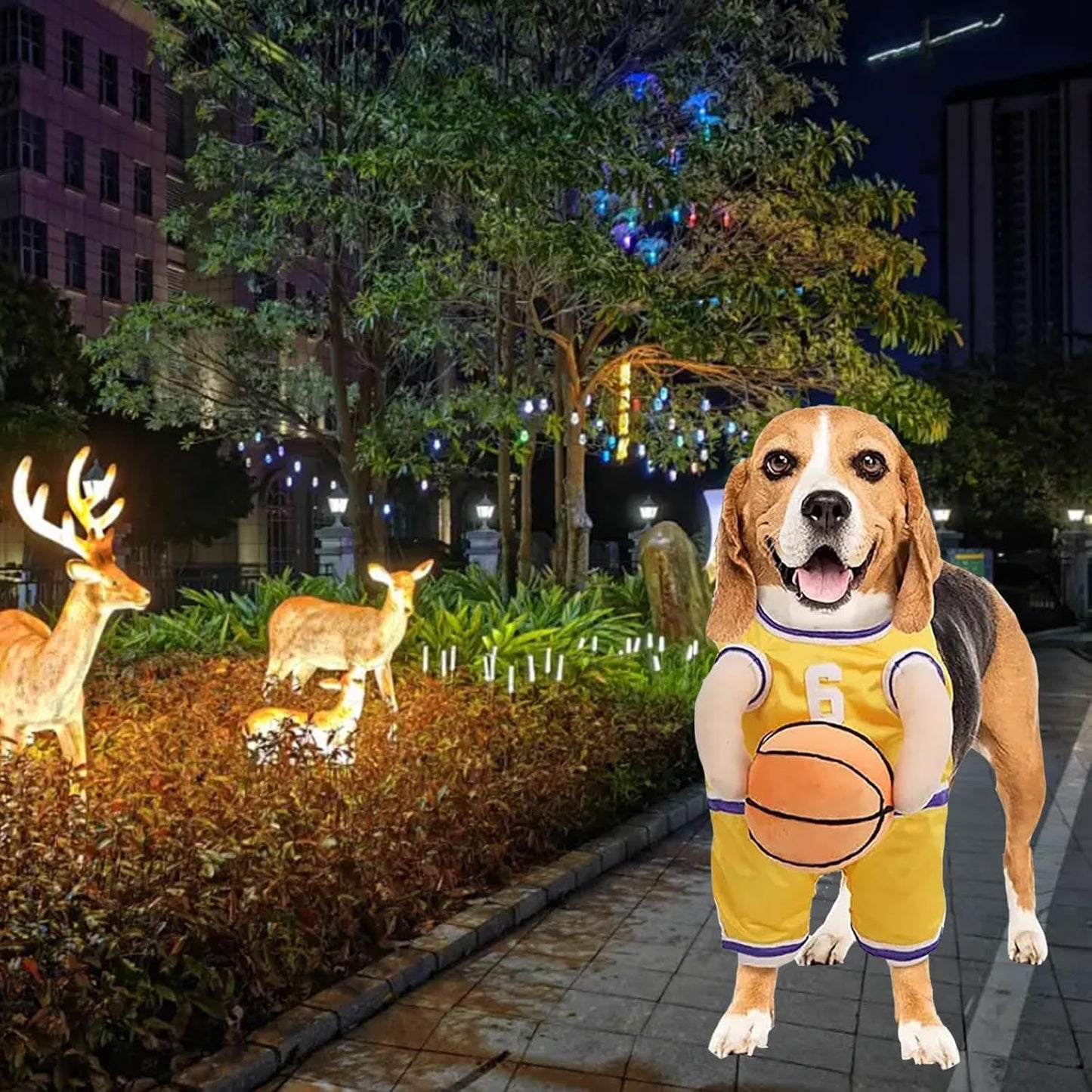 Dog Basketball Player Costume