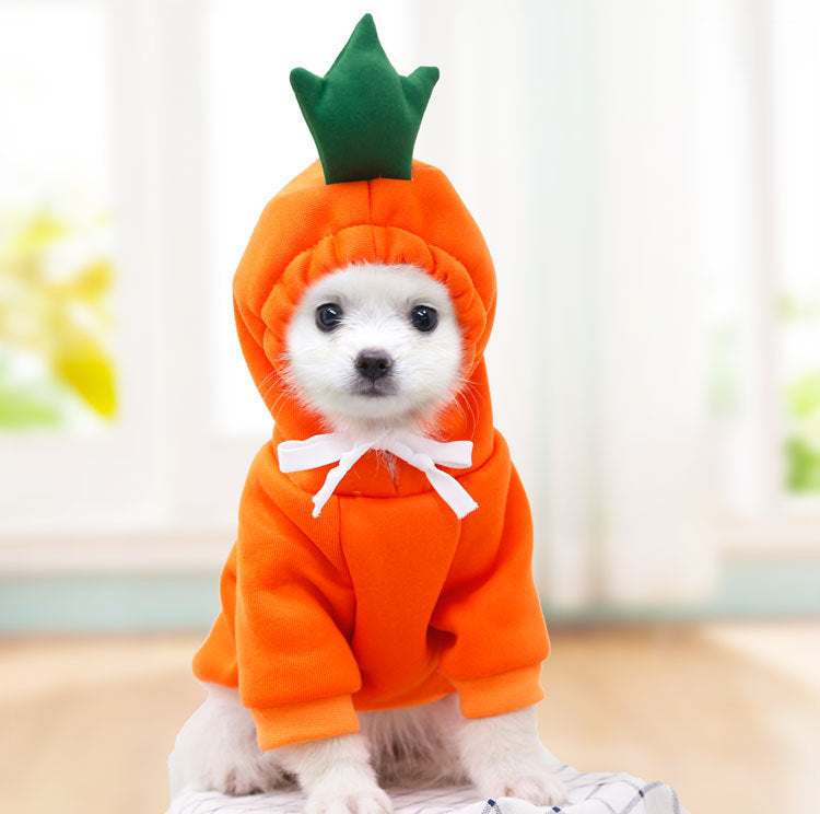 Small Dog & Cat Costumes / Tiny Pet Halloween Outfits
