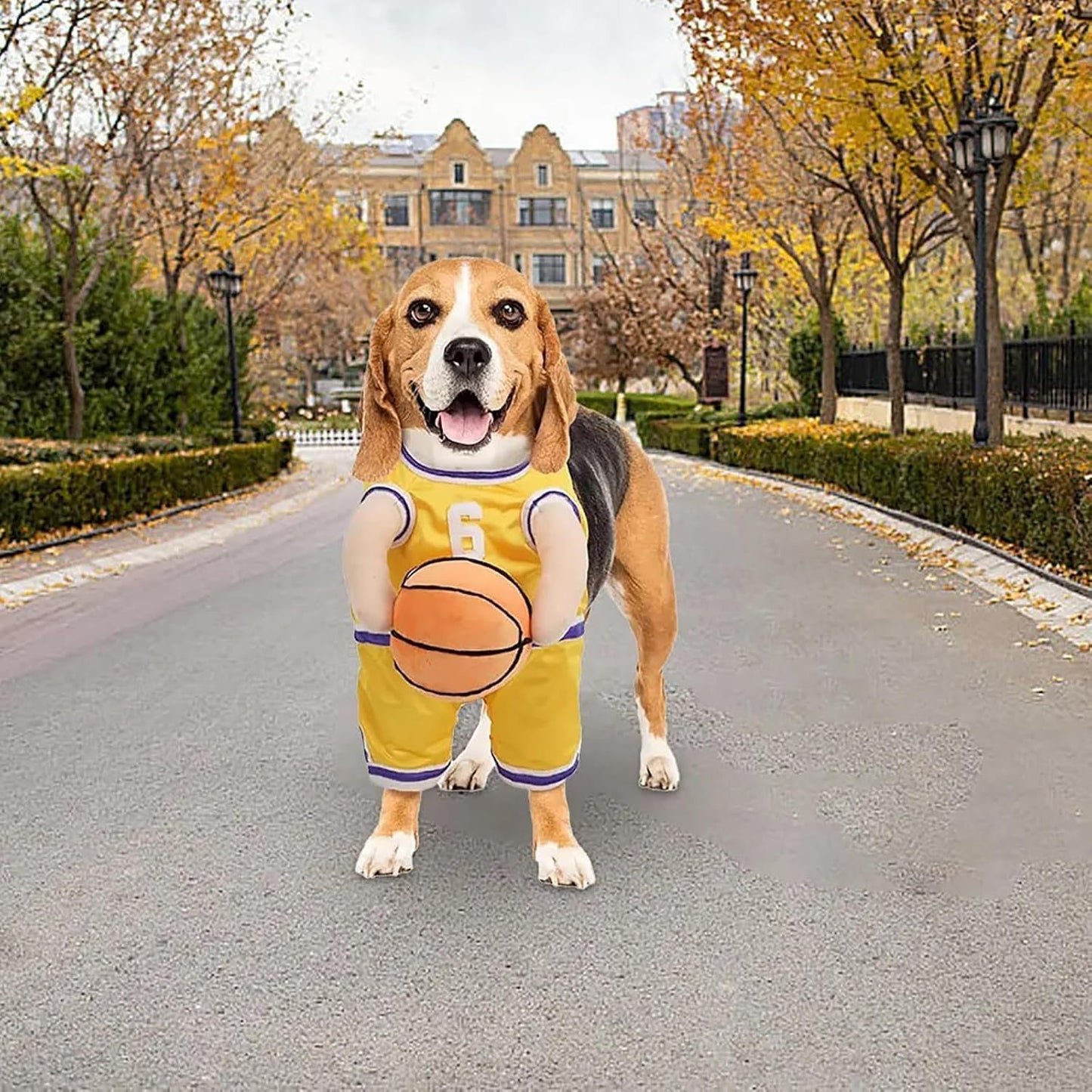 Dog Basketball Player Costume