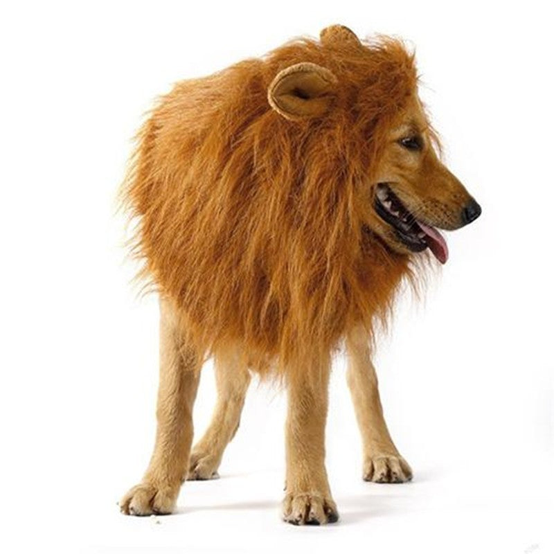 Long Lion Mane Dog Costume