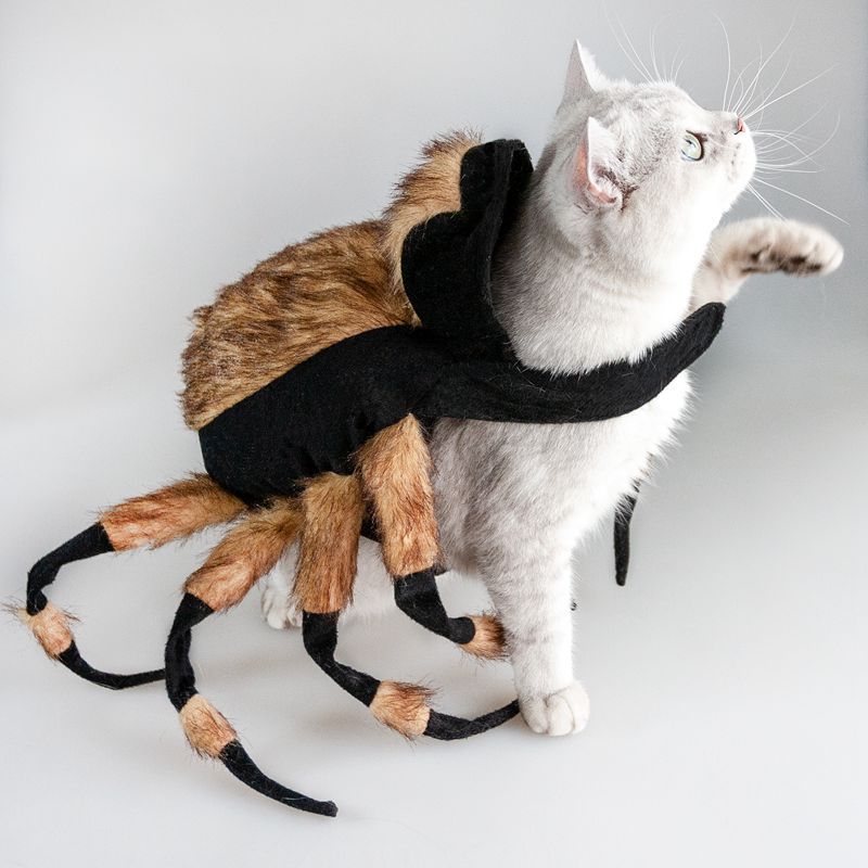 Spider Costume for Dogs and Cats