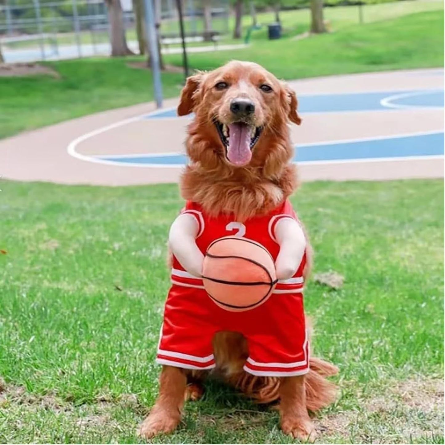 Dog Basketball Player Costume