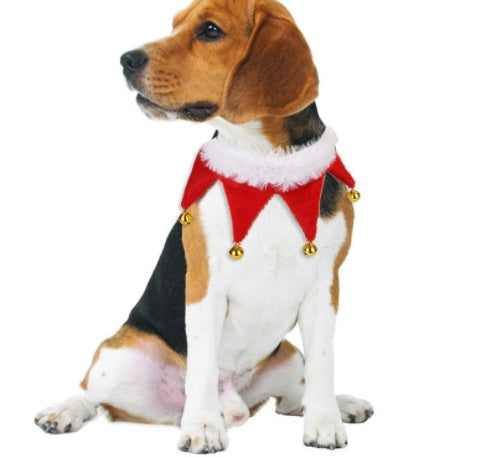 Cute Dog Cat Costume