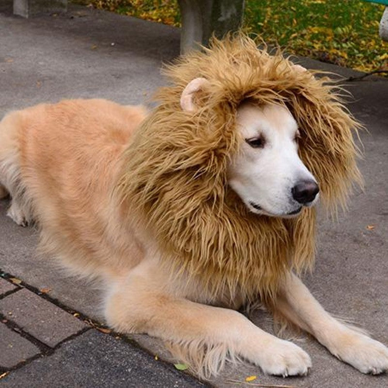 Long Lion Mane Dog Costume