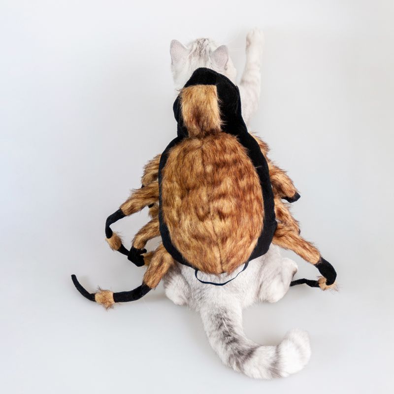 Spider Costume for Dogs and Cats