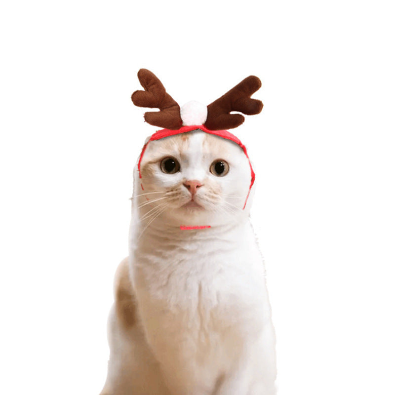 Cute Dog Cat Costume