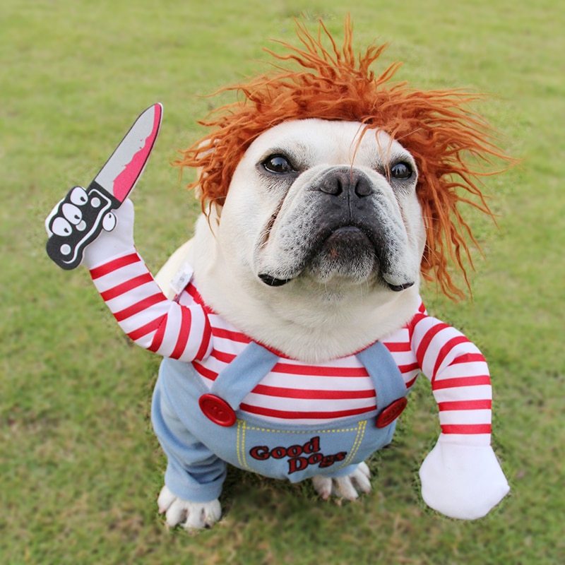 Halloween Costume for Dogs and Cats