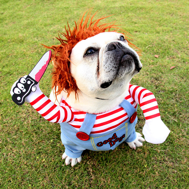 Halloween Costume for Dogs and Cats