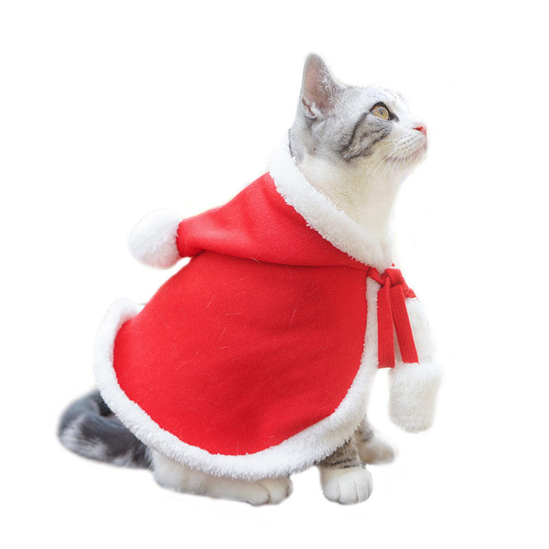 Cute Dog Cat Costume