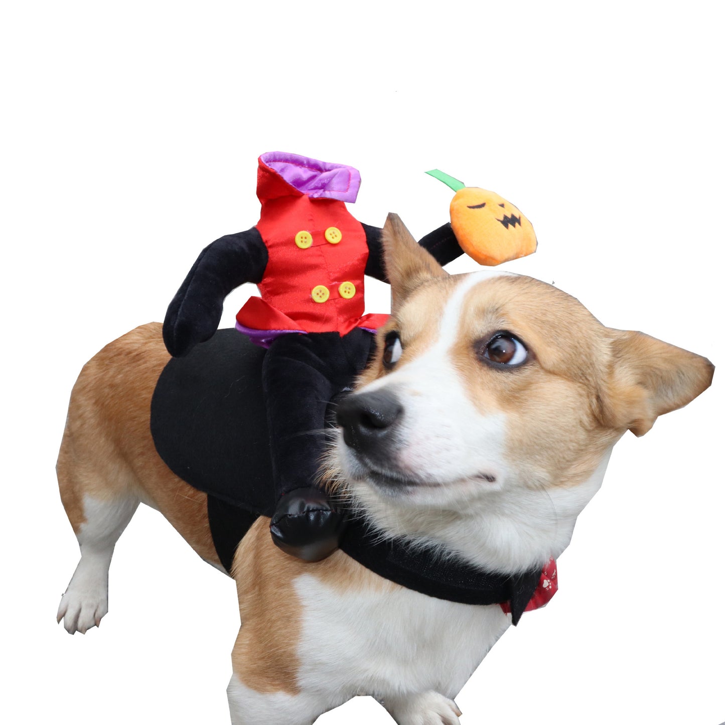 Headless Horseman Dog Costume