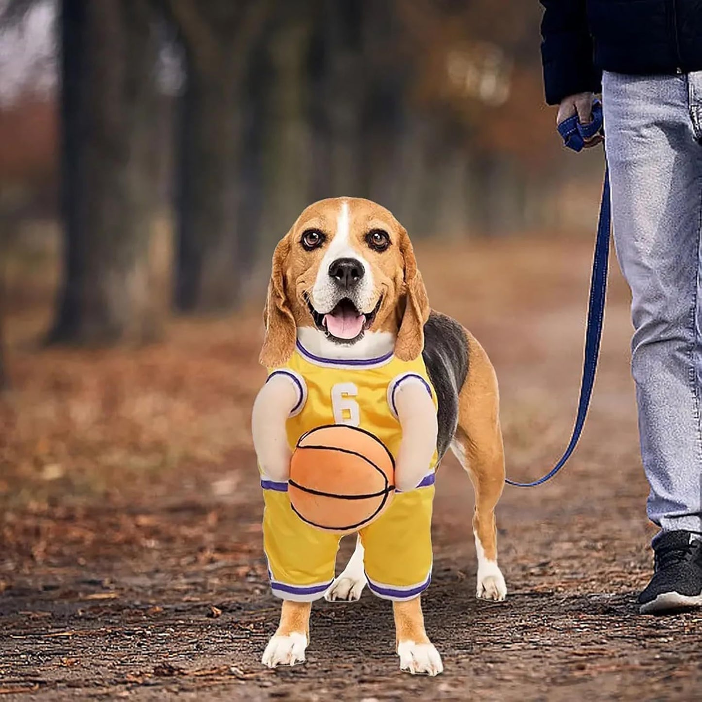 Dog Basketball Player Costume