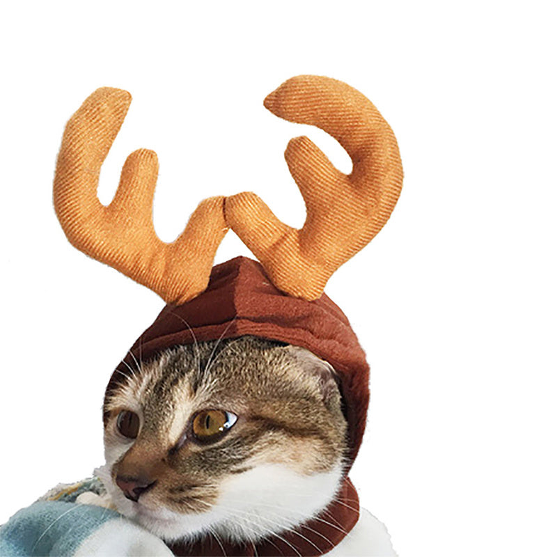 Cute Dog Cat Costume