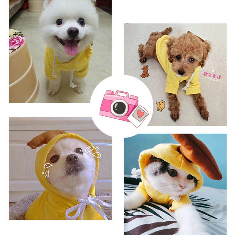 Small Dog & Cat Costumes / Tiny Pet Halloween Outfits