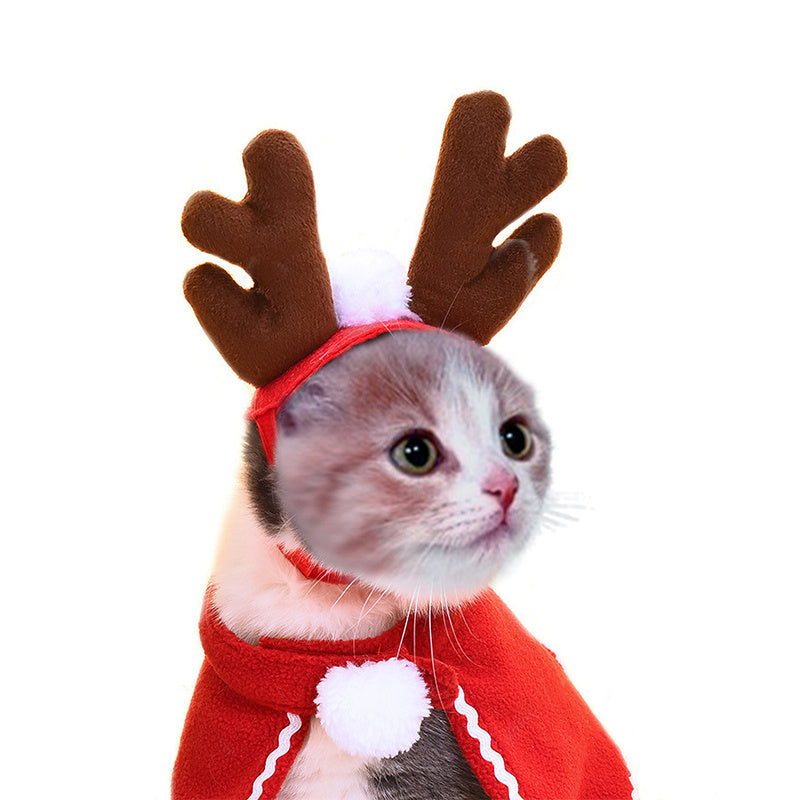 Cute Dog Cat Costume