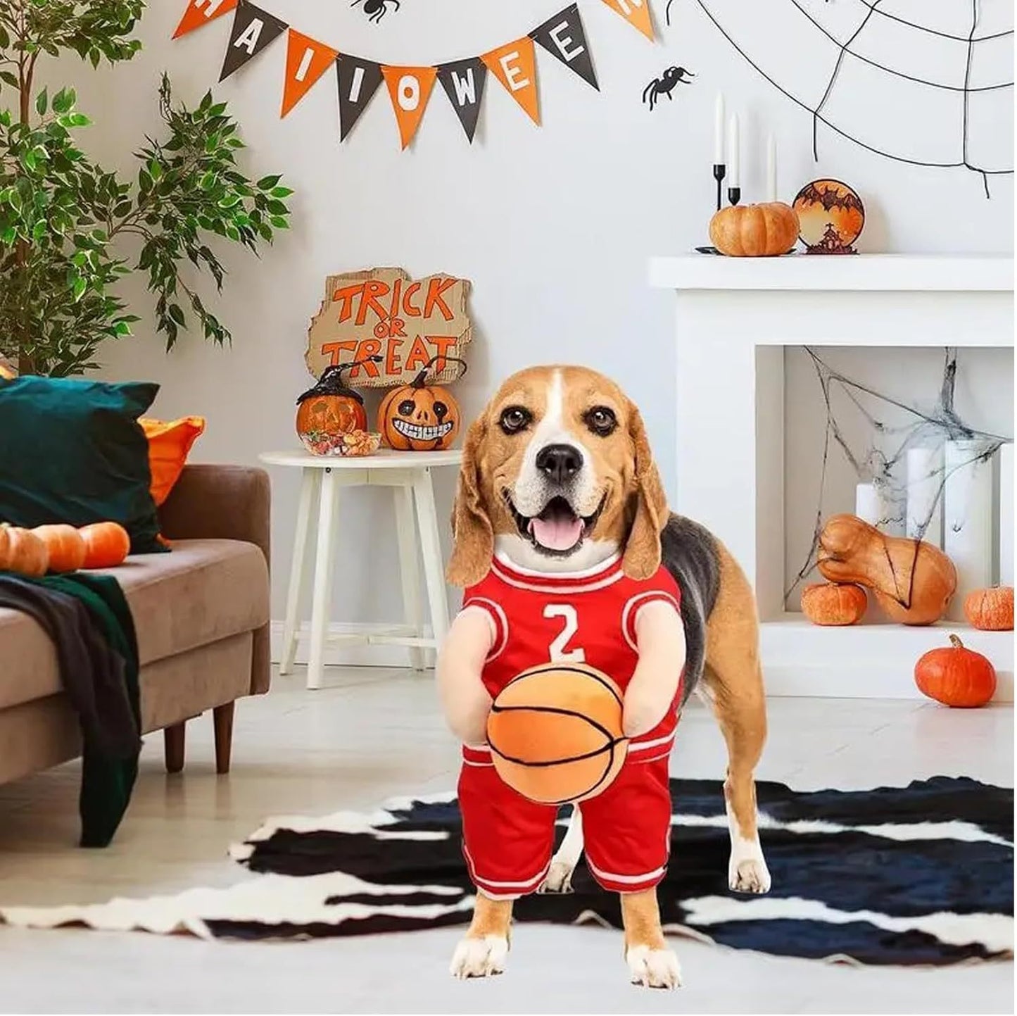 Dog Basketball Player Costume
