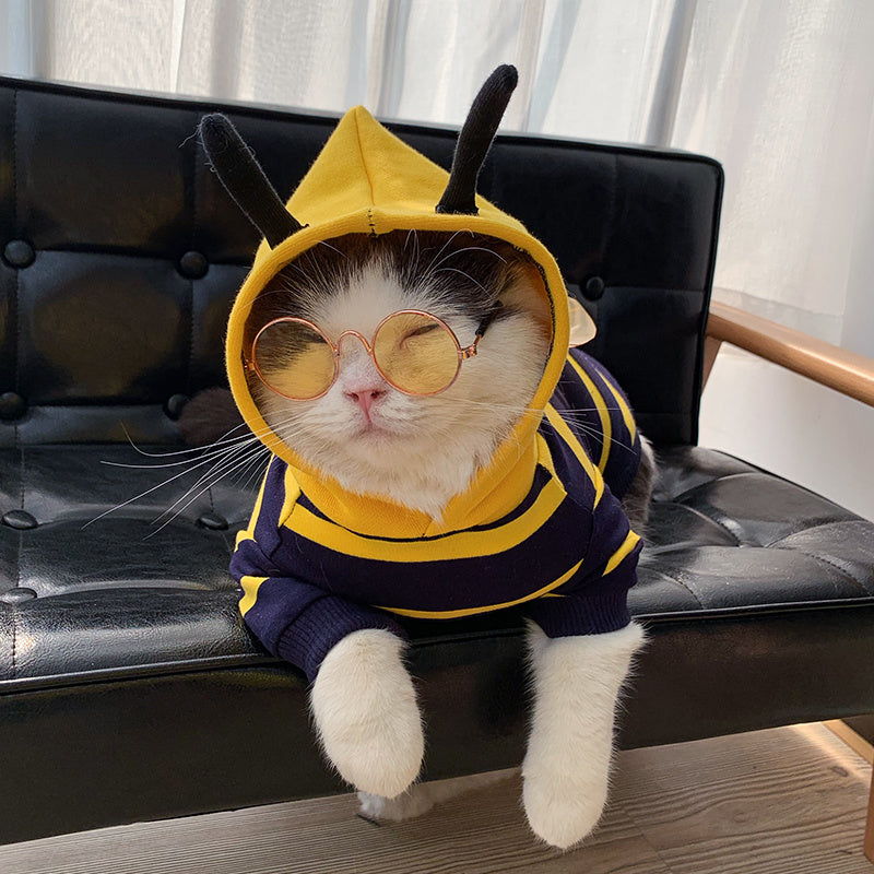 Bee Pet Costume