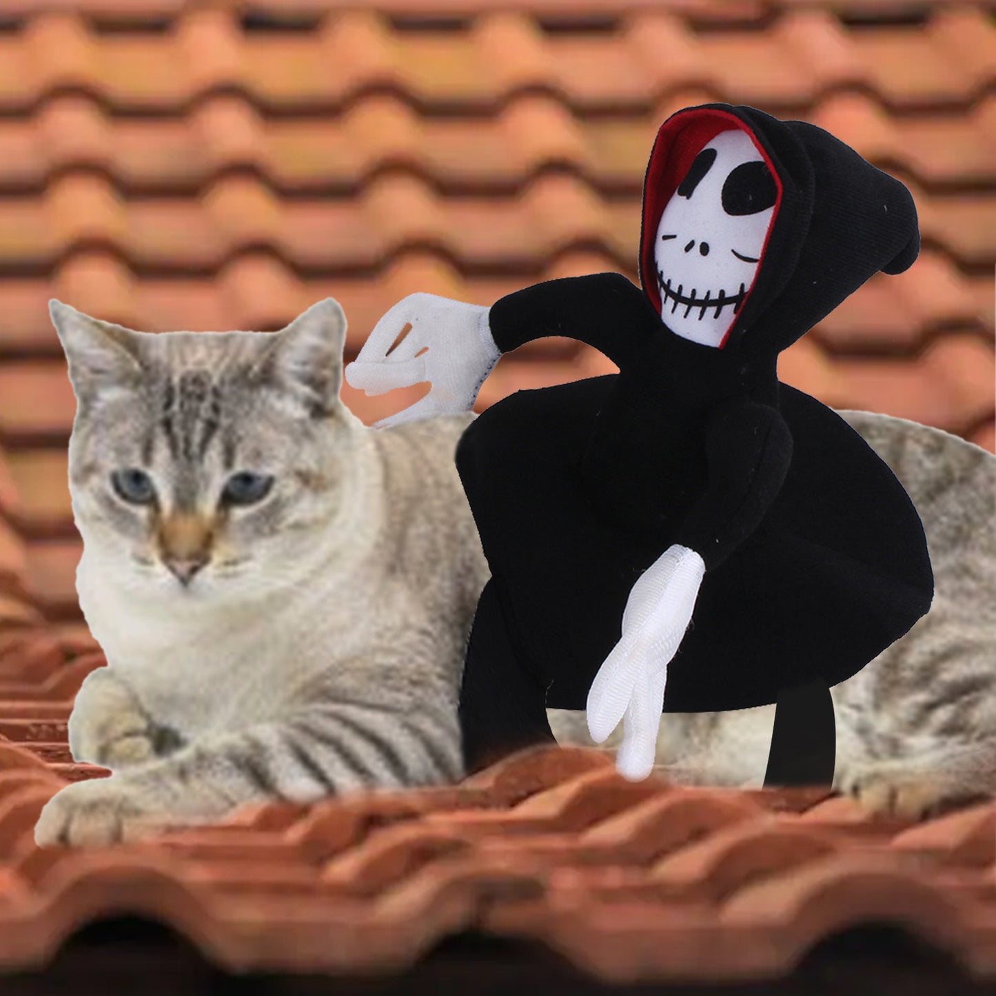 Death Rider Cat Dog Costume