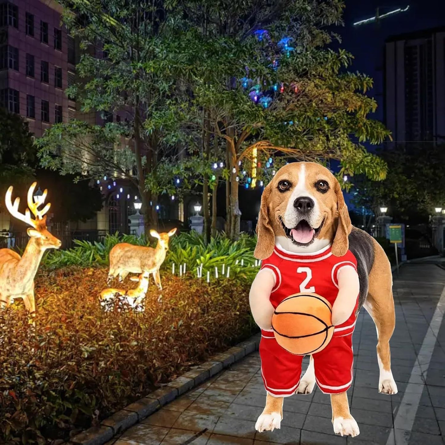 Dog Basketball Player Costume