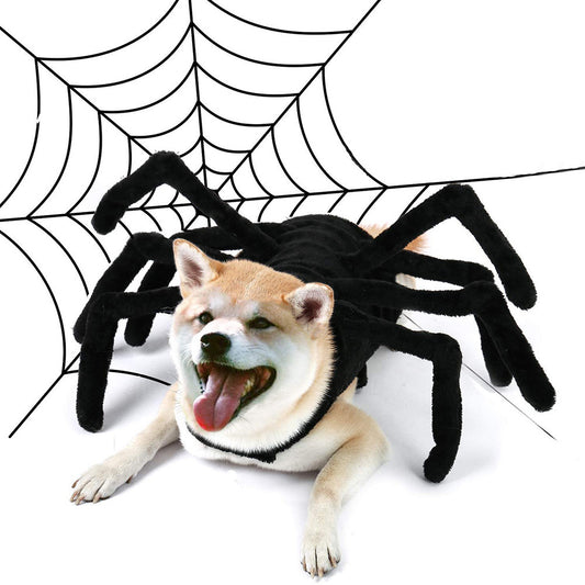 Halloween Spider Costume for Dogs and Cats