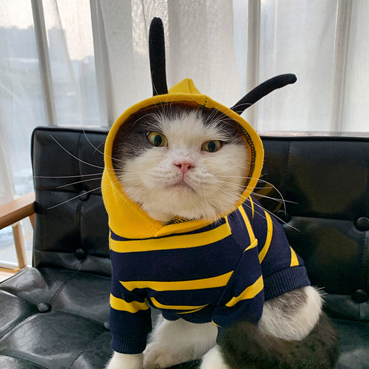 Bee Pet Costume