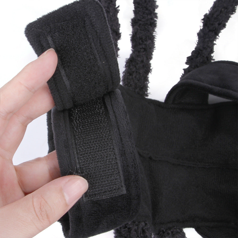 Halloween Spider Costume for Dogs and Cats