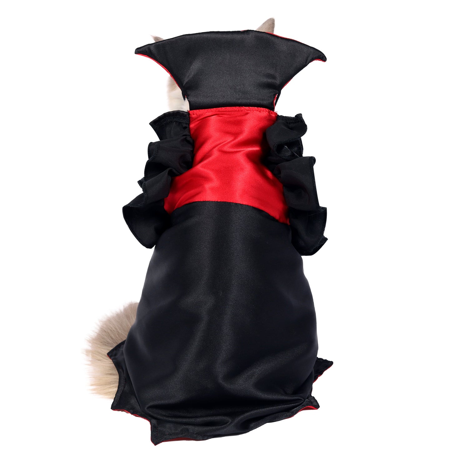 Vampire Cat Costume