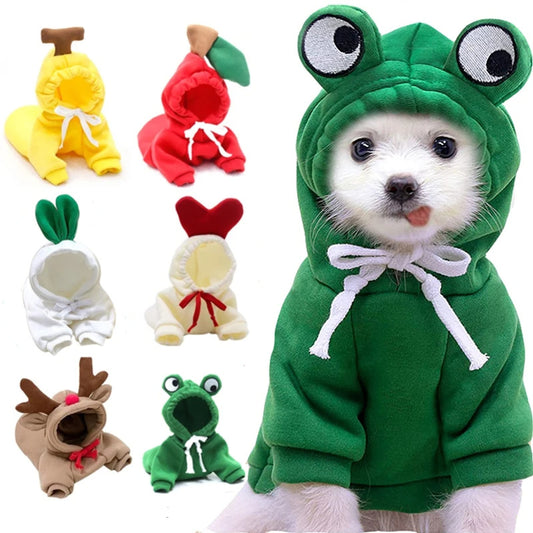Small Dog & Cat Costumes / Tiny Pet Halloween Outfits
