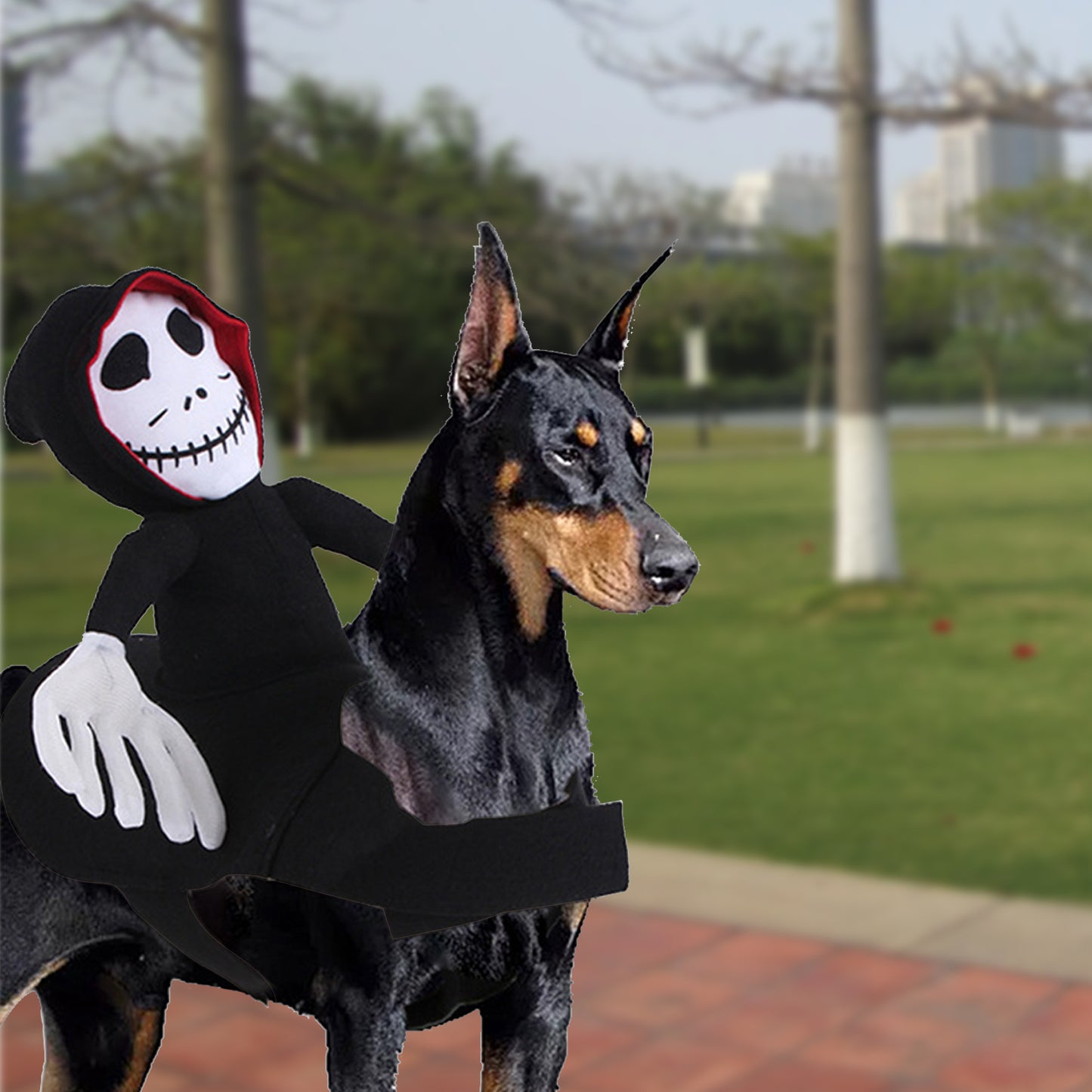 Death Rider Cat Dog Costume
